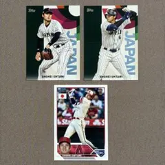 Item thumbnail for item 1f9769b6-6362-4fbf-bb7c-d74f5454df50