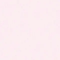 ✧︎様専用ページ