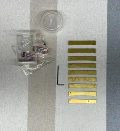 Item thumbnail for item b75756fe-630c-44b6-82a1-67c56ff15aeb