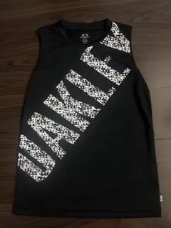 Item thumbnail for item 6de327b2-472c-43e6-aee3-3de8f47d96ea