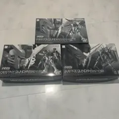 未組立 RG 1/144 ディアクティブモード3品セット「プレバン限定