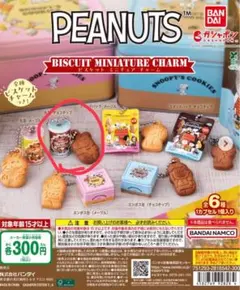 PEANUTS ビスケットミニチュアチャーム