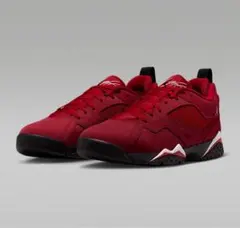 Item thumbnail for item 1cd92b29-d0f8-434e-92ce-36300c17f3ec