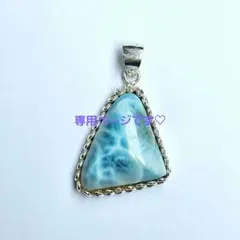 ミッチー様専用ページです♡