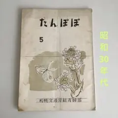 Item thumbnail for item 83497d74-e460-4f53-8466-ceb6ee841095