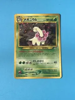 メガニウム 旧裏 ポケモンカード