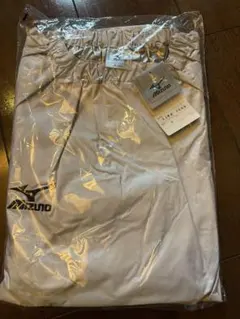 Mizuno セットアップ トレーニング サウナスーツのサムネイル