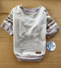 Item thumbnail for item e4fa556c-41db-432b-a98d-6cb1d688f50c