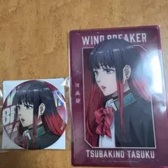 ウィンブレ 椿野佑 ベスヤ2点セット