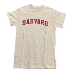 Item thumbnail for item a482386a-08b9-4cf3-b243-697146e19ad5