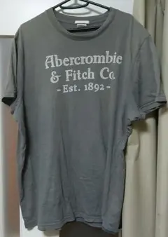 Abecrombie&Fitch Tシャツ グレー アバクロ 半袖 メンズのサムネイル