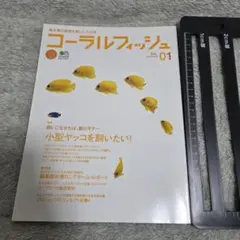 Item thumbnail for item ec85834b-b8ae-4689-aebb-55b2a371f554