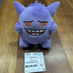 ♥︎美品♥︎ポケットモンスター いろんなおかおぬいぐるみ～ゲンガー～ 困り顔