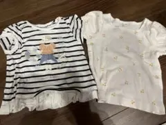 プティマイン　アプレレクール　Tシャツセット