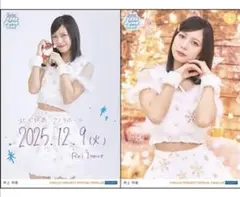Juice=Juice 日付入り獨唱A5寬版尺寸寫真卡2張組【井上玲音】