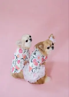 キャンディブッピー ワンピース Pallete Flowerニットワンピース