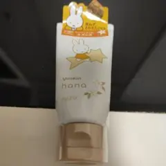 Item thumbnail for item c90b8d3c-577c-4c1a-8716-1757e048264c