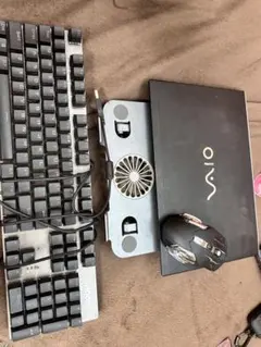 Item thumbnail for item b94495f3-3e76-4865-9417-5e9eaab9776e