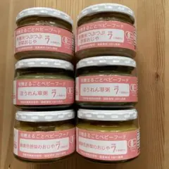 オーガニックベビーフード⭐︎他5品