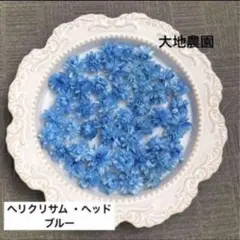 minami様　ご専用