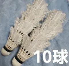 2025年最新】バドミントンシャトルニューオフィシャルの人気アイテム