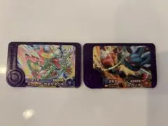 ポケモンフレンダ　ベストタッグ　1弾　ルカリオ　カミツオロチ　2枚