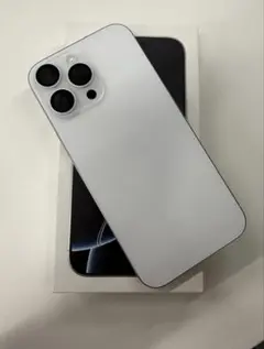 iPhone 16 Pro Max 256GB 中国版 無音シャッター 100%