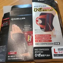 Item thumbnail for item 670d56ef-3b2a-4aa2-9170-34e5db7d058a