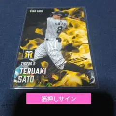 Item thumbnail for item 264e2d03-f420-4160-9d25-33e6daa43ee6