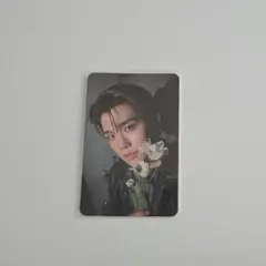 ゼベワン zb1 テレ トレカ