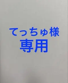 てっちゅ様　専用