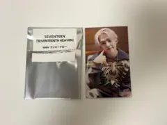 SEVENTEEN エスクプス トレカ