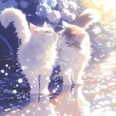 Kei様 リクエスト 2点 まとめ商品