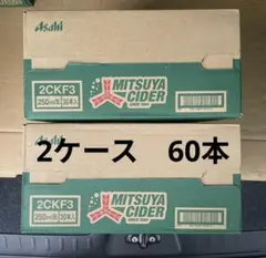 三ツ矢サイダー250ml缶 （30本入）2ケースのサムネイル