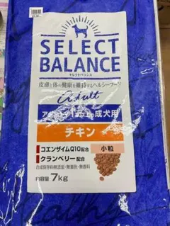 Item thumbnail for item 7bf8bc3c-2d8e-4c18-af2f-ac4deb6e7483