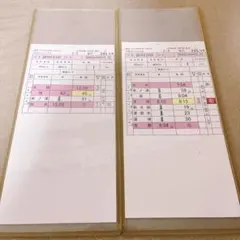 JR東海 スタフ 運転士時刻表 豊橋運輸区 313系 - メルカリ