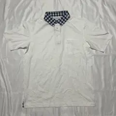 Item thumbnail for item 3a95c66e-b0a0-4845-9479-8d96a2c7c783