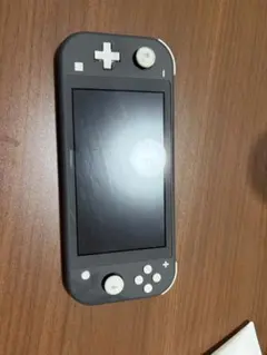 Nintendo Switch Lite 本体 グレー　充電器付き
