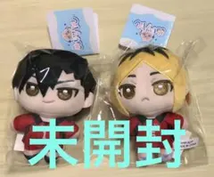 ぬいパル　黒尾鉄朗・孤爪研磨