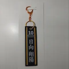 ハイキュー!! タイトーくじ G賞 フライトタグ 日向翔陽