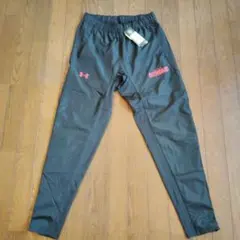 Item thumbnail for item f9ff8bc7-9a6d-4f22-83c5-b2e72600d903