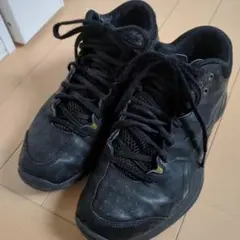 Item thumbnail for item 5d0577fb-5650-4f09-9480-14bee0a1414f