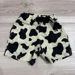 Item thumbnail for item 663a2d87-d207-424a-aba0-c85a8dae0a98