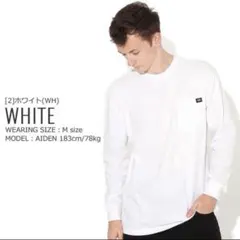 Dickies ロンT 長袖 シャツ 無地 シンプル 白 ホワイト ストリート