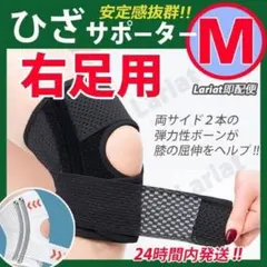 Item thumbnail for item c1219d39-0a98-4aaa-b796-51feb4a551cd