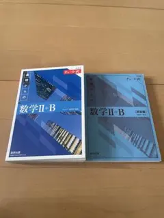 新課程 チャート式 基礎からの数学II+B 本体+解答編 2冊セット