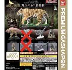 いきもの大図鑑　3種