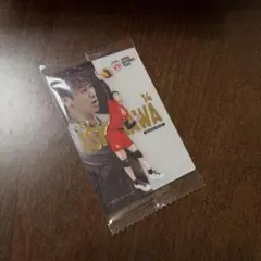 【スペシャル】バレーボール 石川祐希 ウエハース