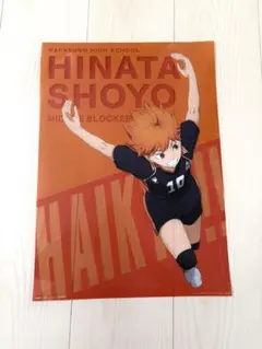 ハイキュー!! 日向翔陽 ポスター