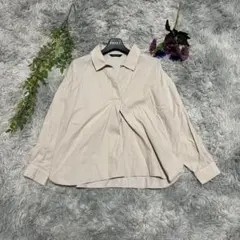 Item thumbnail for item 530e1a65-bbe3-4ce0-a7a9-2bd763c5e081